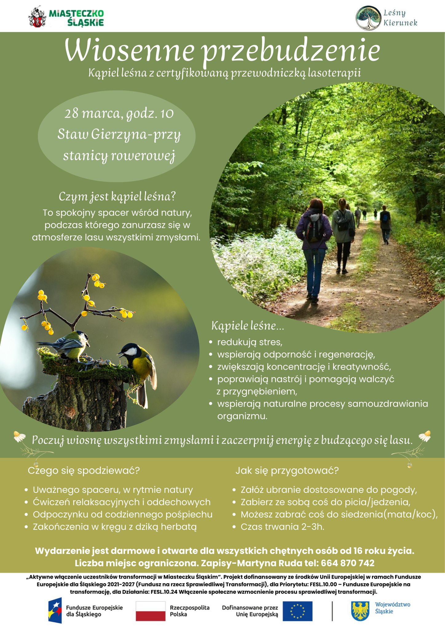 Wiosenne przebudzenie – zapraszamy na kąpiel leśną!