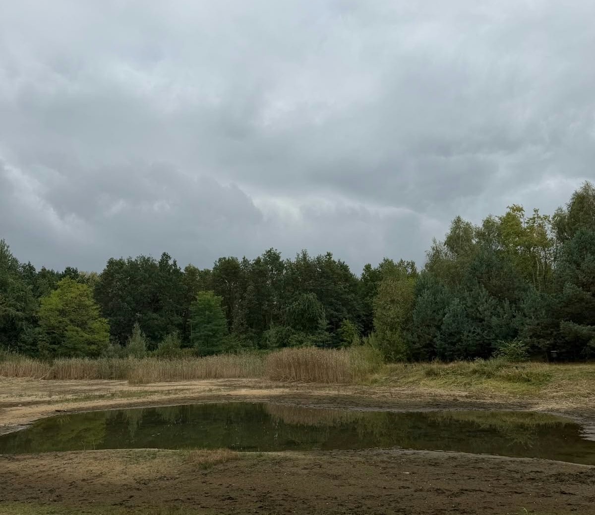 Przywracamy Zandkę mieszkańcom i turystom. To miejsce znów będzie tętnić życiem!