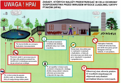 grafika do wpisu: Rozporządzenia Wojewody Śląskiego w związku z wystąpieniem wysoce zjadliwej grypy ptaków