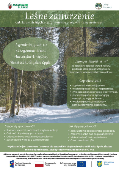 grafika do wpisu: Leśne Zanurzenie – kolejna kąpiel leśna w Miasteczku Śląskim już 6 grudnia!