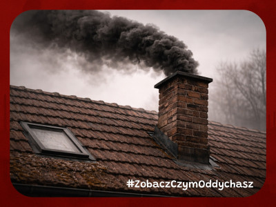 grafika do wpisu: Jak walczyć ze smogiem? Proste działania, które mają znaczenie