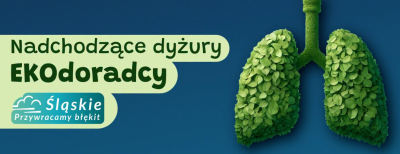grafika do wpisu: Nadchodzące dyżury ekodoradcy