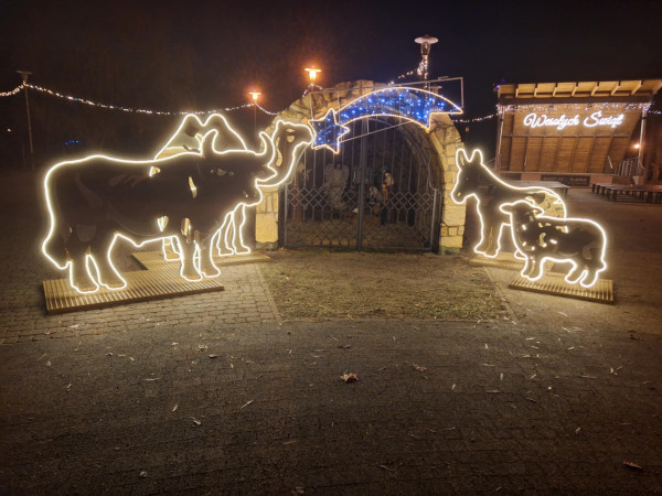 Nowe dekoracje świąteczne w Parku Rubina