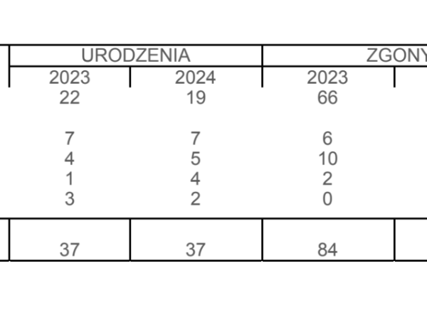 Demografia: urodzenia i zgony w 2024 roku