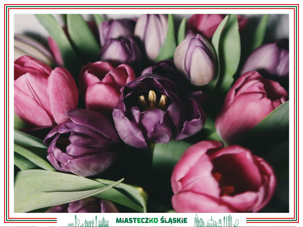 Wszystkiego najlepszego z okazji Dnia Kobiet!