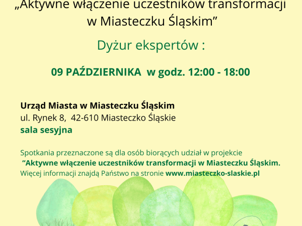 Dyżur ekspertów w ramach projektu „Aktywne włączenie uczestników transformacji w Miasteczku Śląskim”