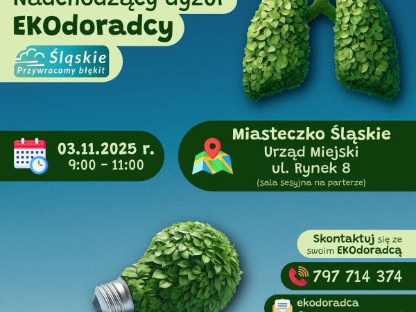 grafika do wpisu: Nadchodzący dyżur ekodoradcy