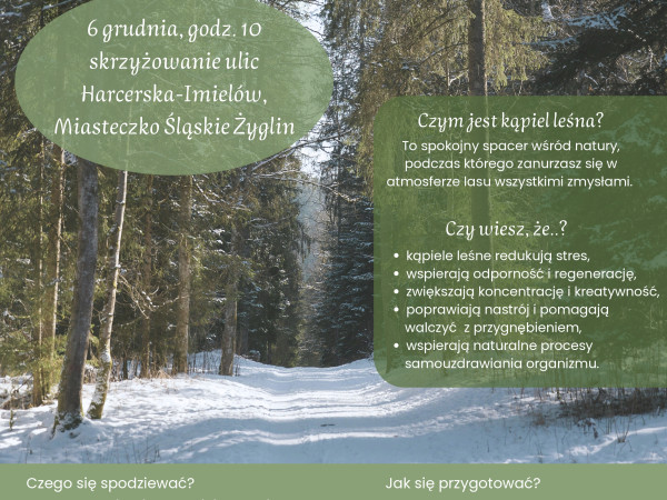 Leśne Zanurzenie – kolejna kąpiel leśna w Miasteczku Śląskim już 6 grudnia!