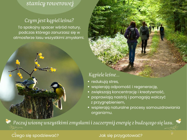 grafika do wpisu: Wiosenne przebudzenie – zapraszamy na kąpiel leśną!