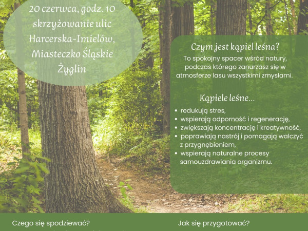 Kolejne spotkanie z cyklu „Leśne zanurzenie”