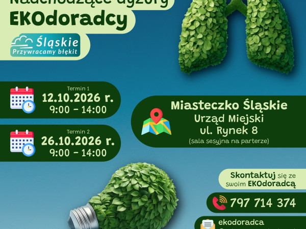 grafika do wpisu: Nadchodzące dyżury ekodoradcy