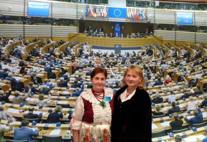 Godło Miasteczka Śląskiego w Parlamencie Europejskim