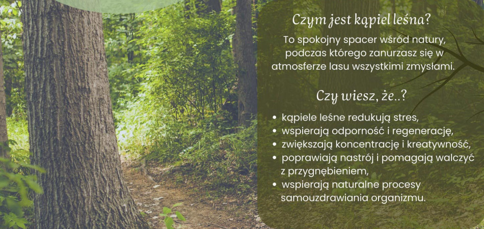 grafika dla wpisu: Zmiana terminu wydarzenia Leśne Zanurzenie