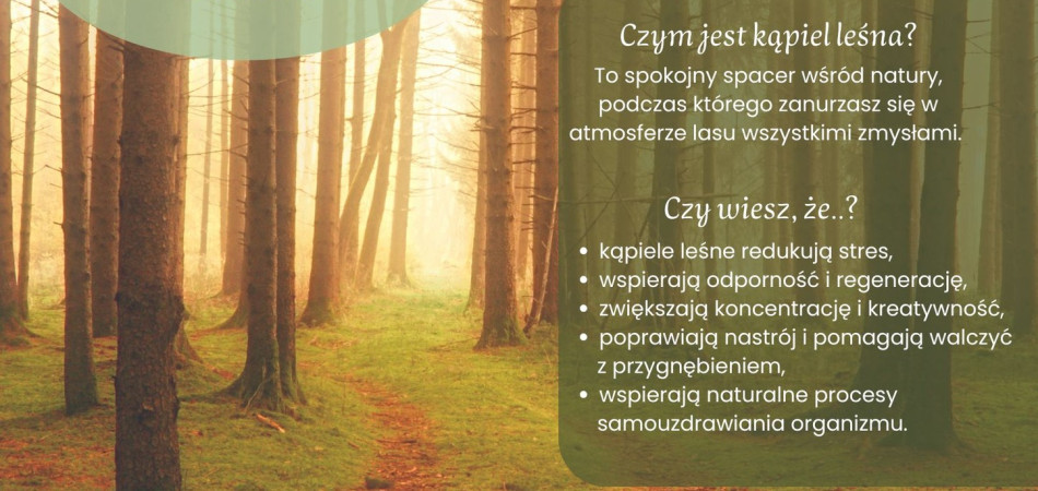 grafika dla wpisu: Kolejne spotkanie z cyklu Leśne Zanurzenie
