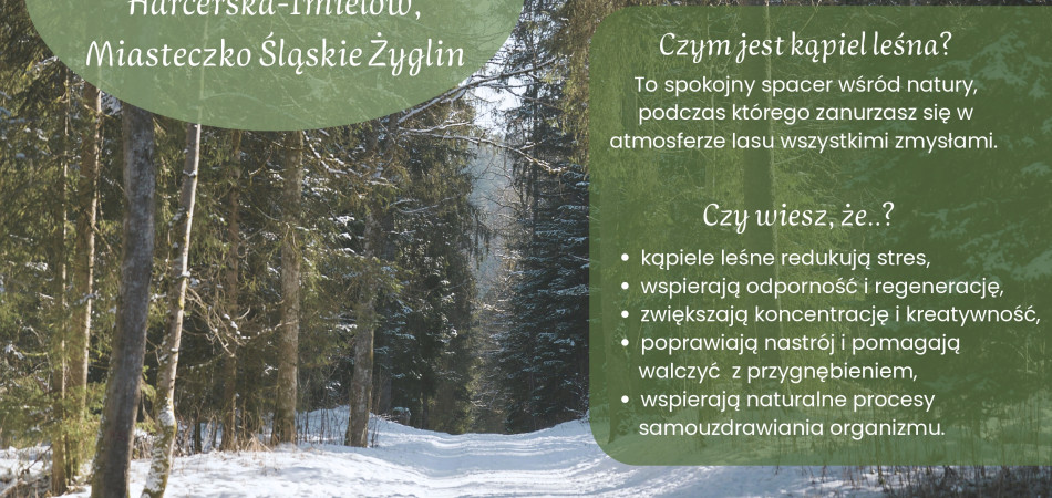 grafika dla wpisu: Leśne Zanurzenie – kolejna kąpiel leśna w Miasteczku Śląskim już 6 grudnia!