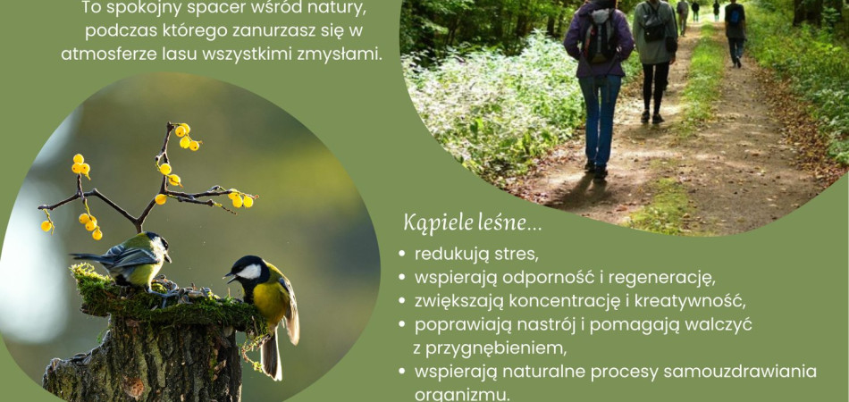 grafika dla wpisu: Wiosenne przebudzenie – zapraszamy na kąpiel leśną!